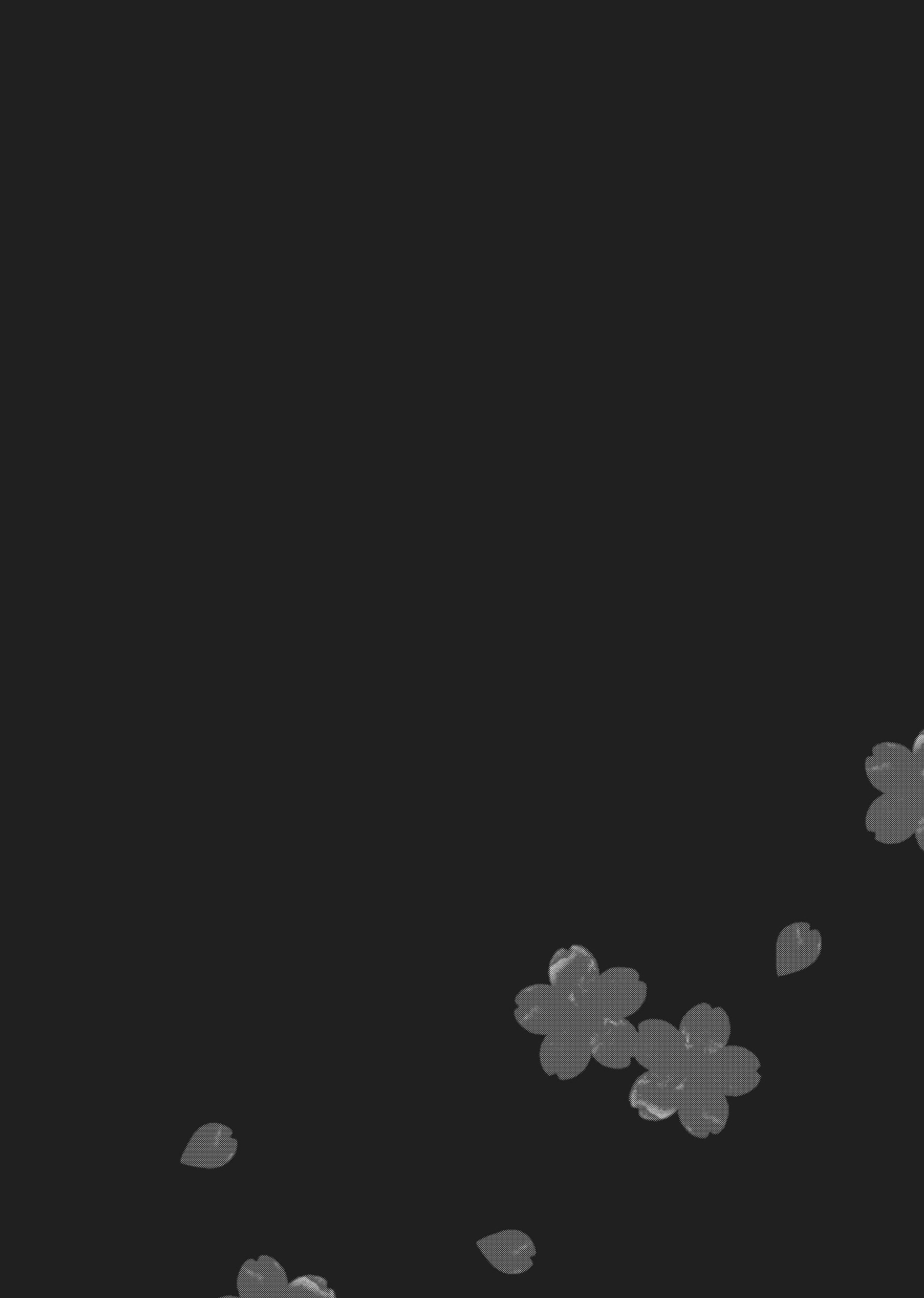 Raise Wa Tanin Ga Ii