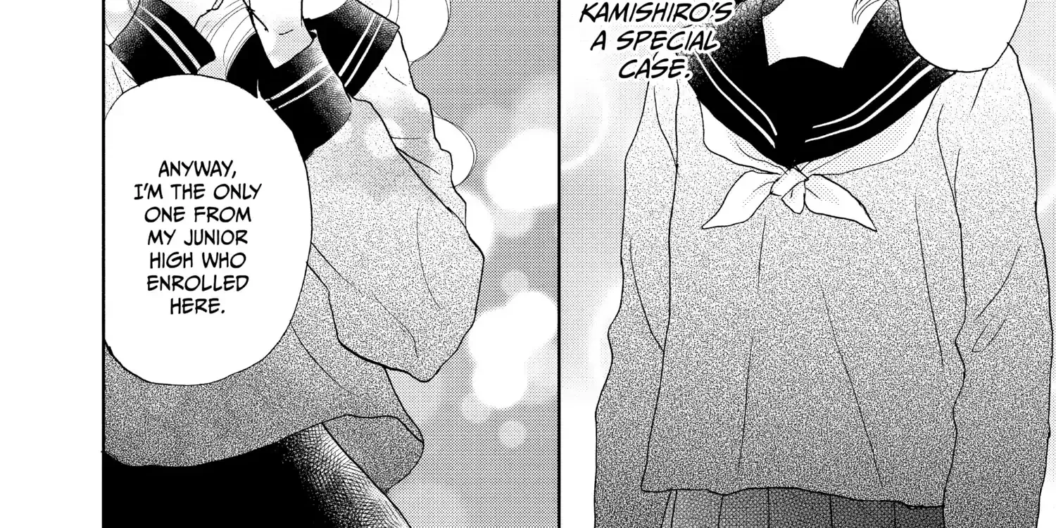 A Star Brighter than the Sun