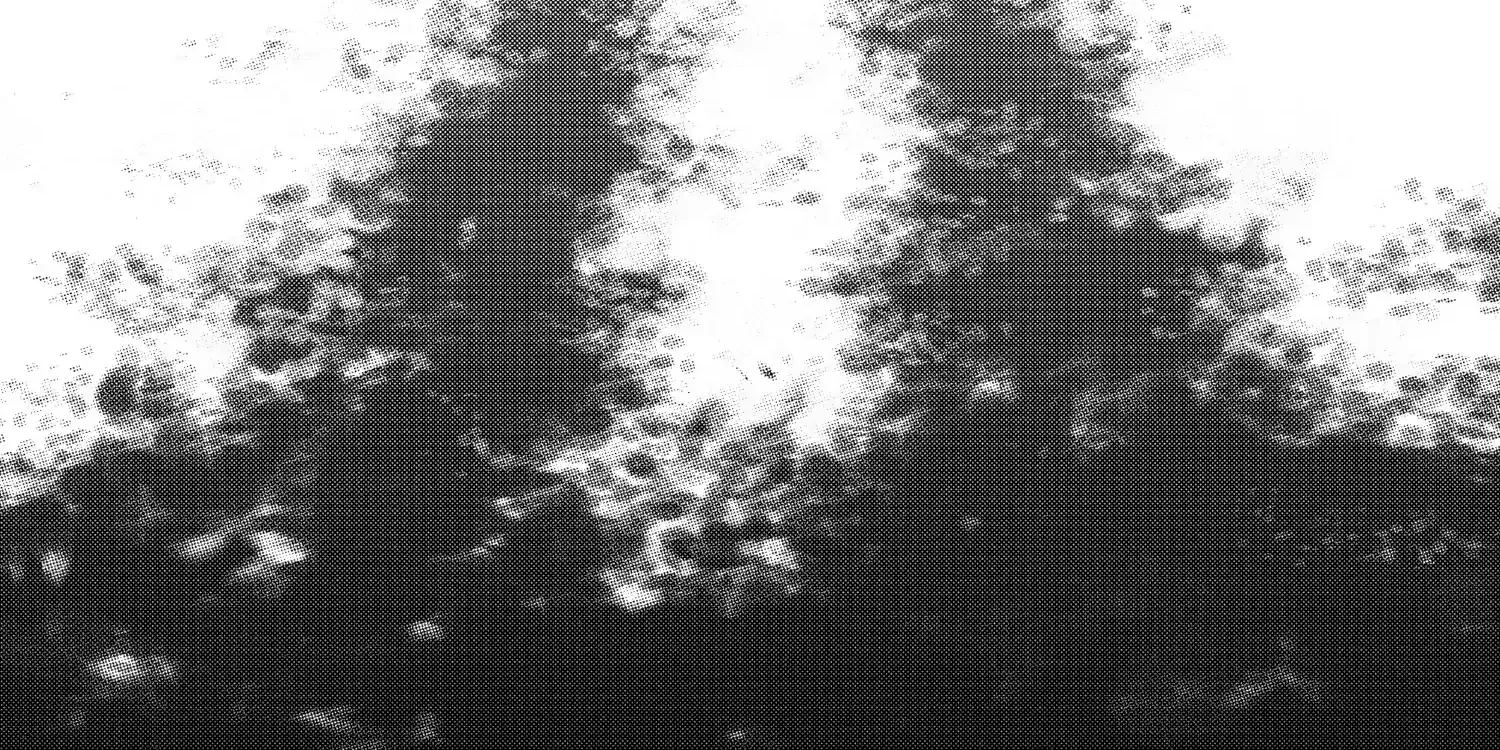 A Star Brighter than the Sun