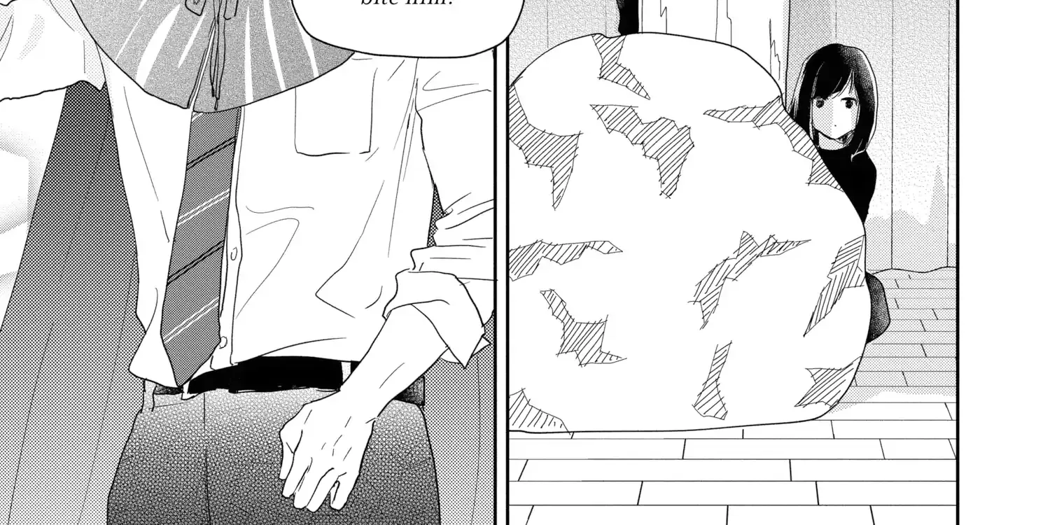 A Star Brighter than the Sun