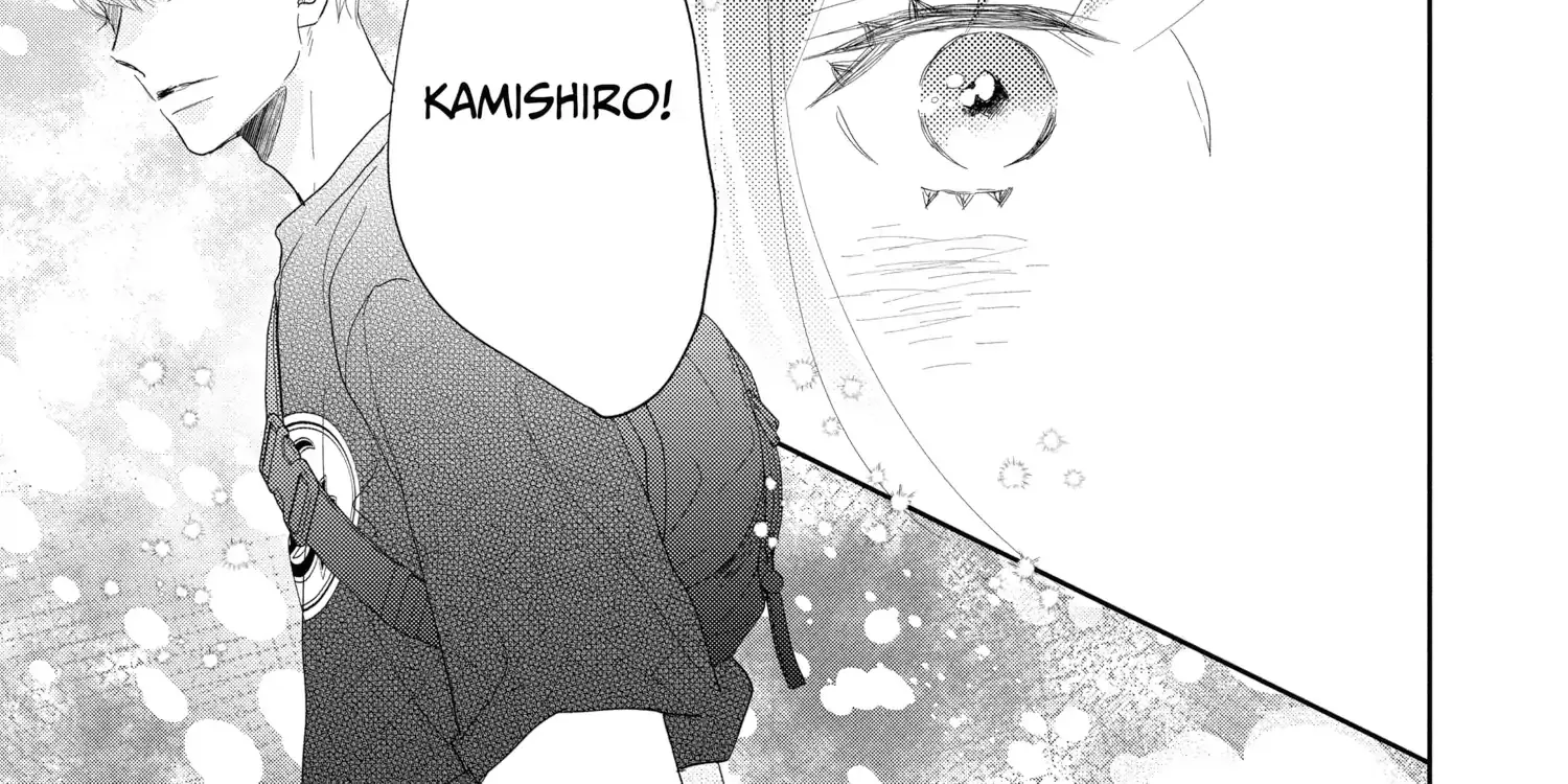 A Star Brighter than the Sun