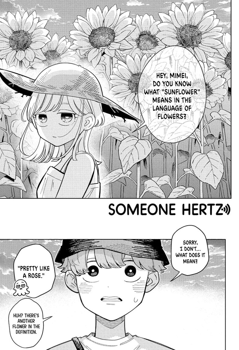 Someone Hertz