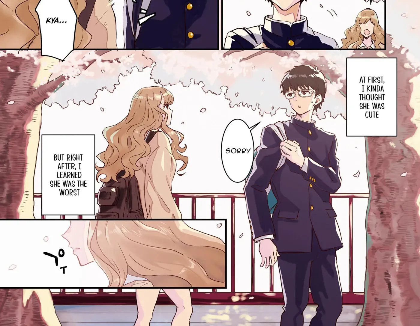 I Was Supposed to Never Fall in Love with You.