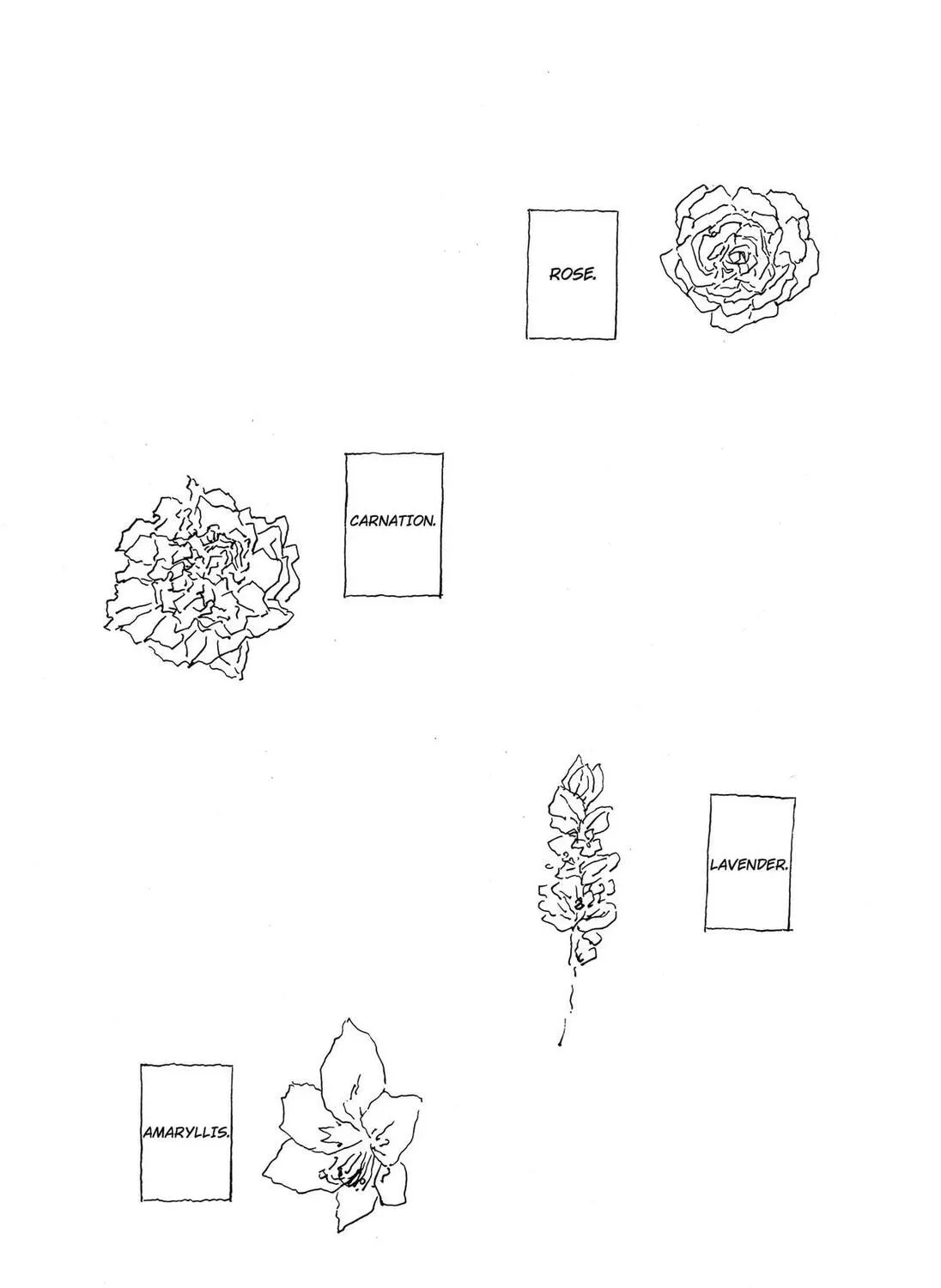 .A -dot Alice-