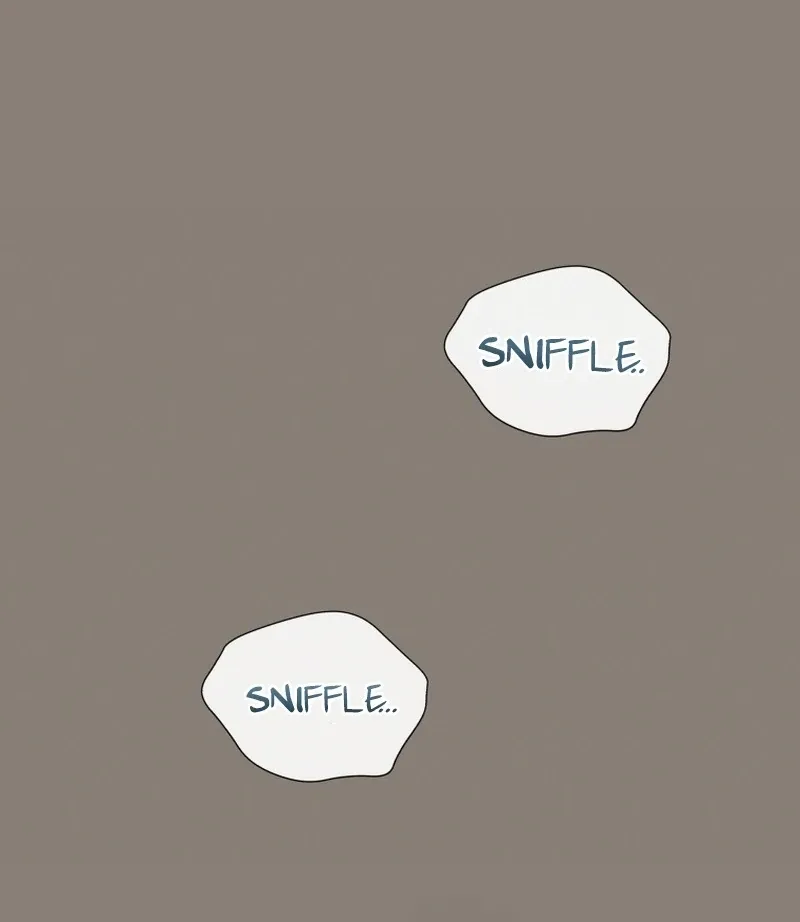 A Man Who Fell in Love With Me