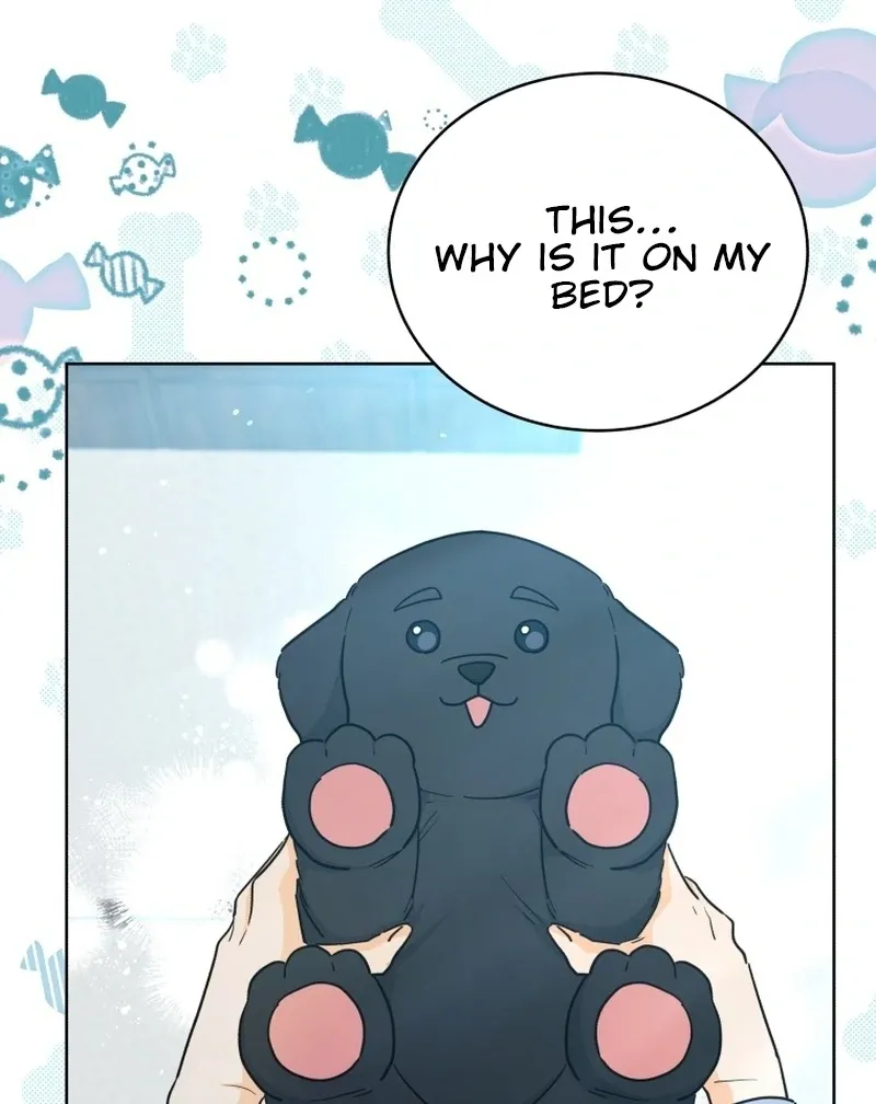 A Man Who Fell in Love With Me