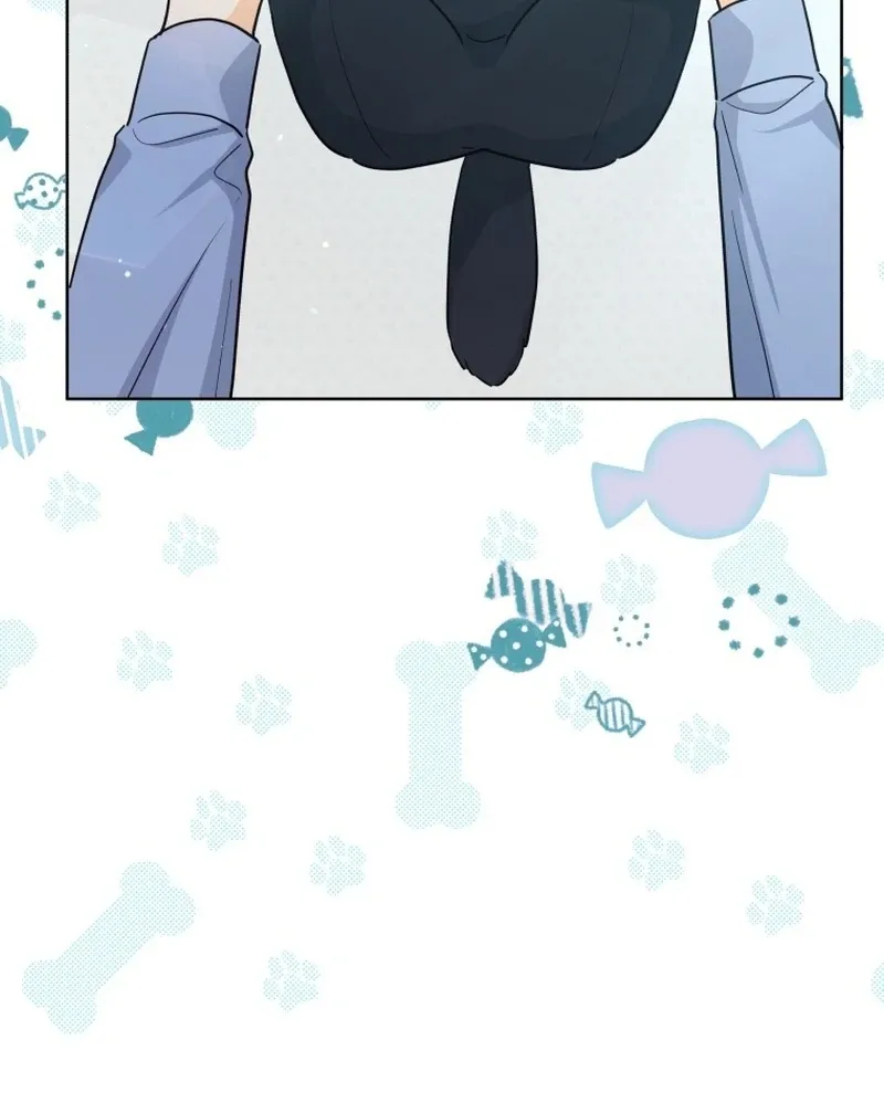 A Man Who Fell in Love With Me