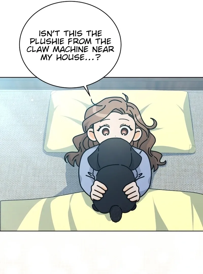 A Man Who Fell in Love With Me