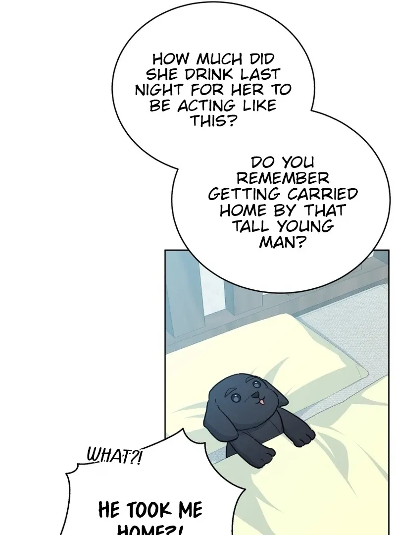 A Man Who Fell in Love With Me