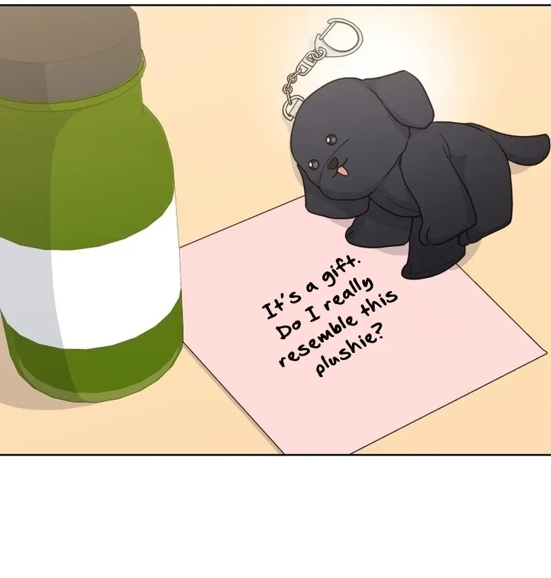 A Man Who Fell in Love With Me