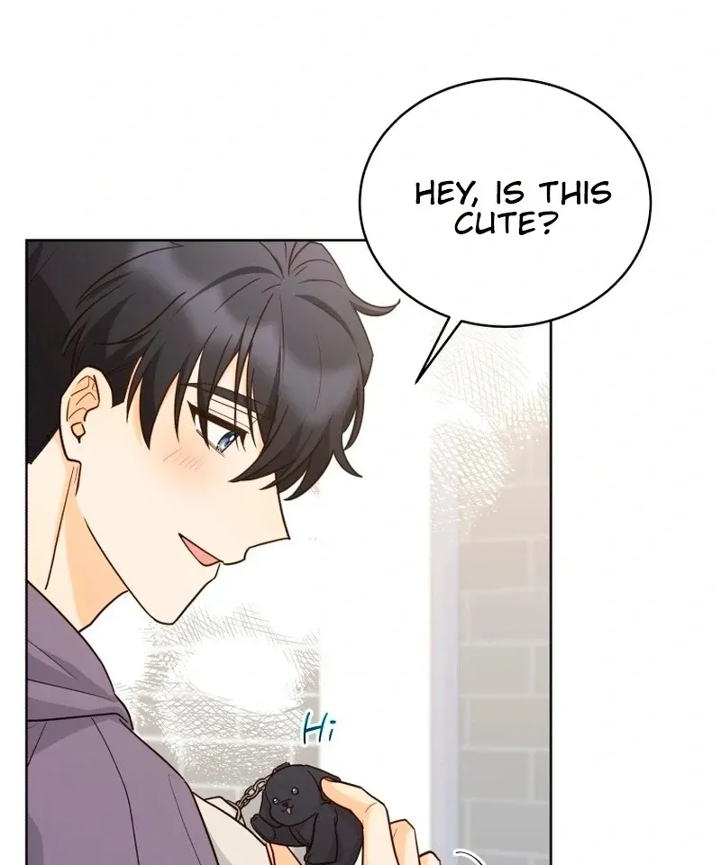 A Man Who Fell in Love With Me