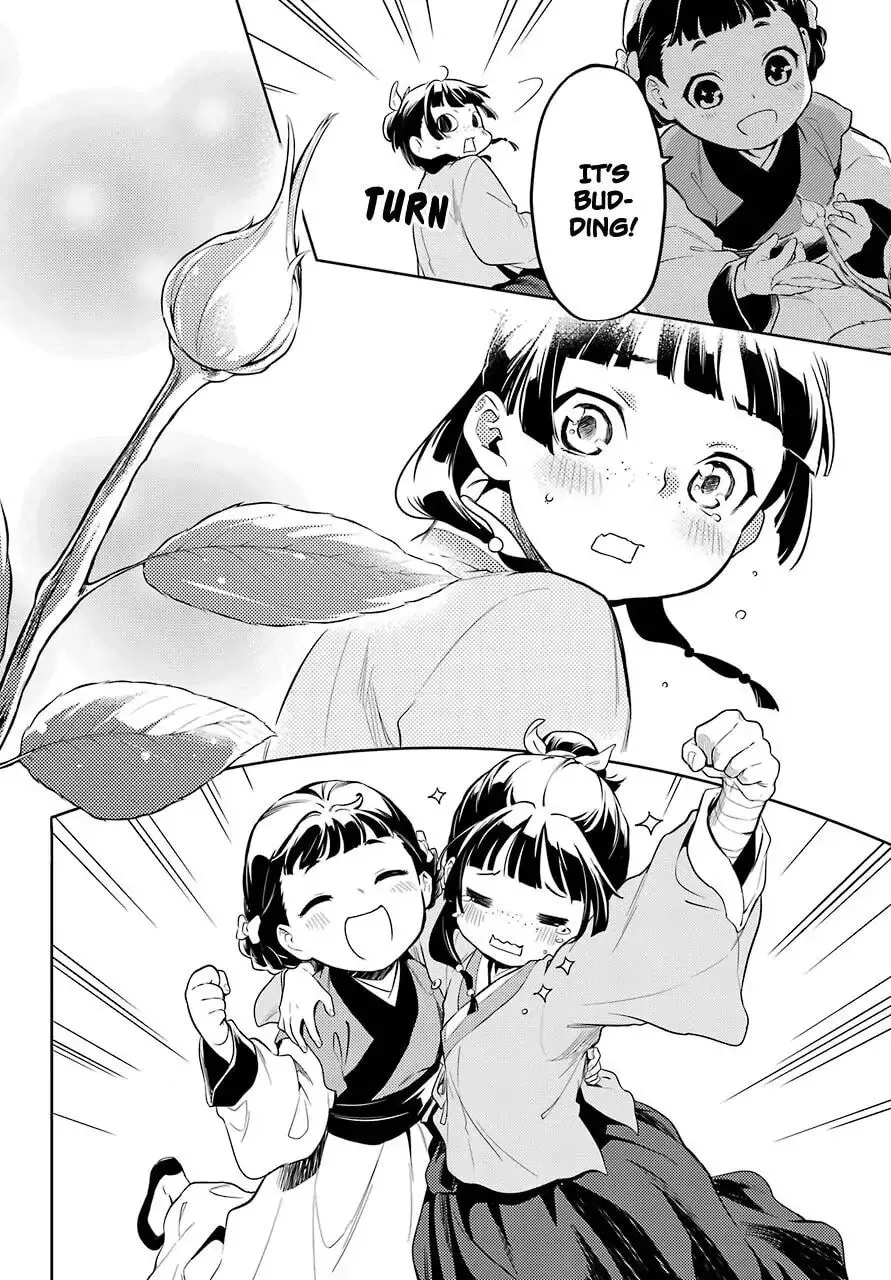 The Apothecary Diaries