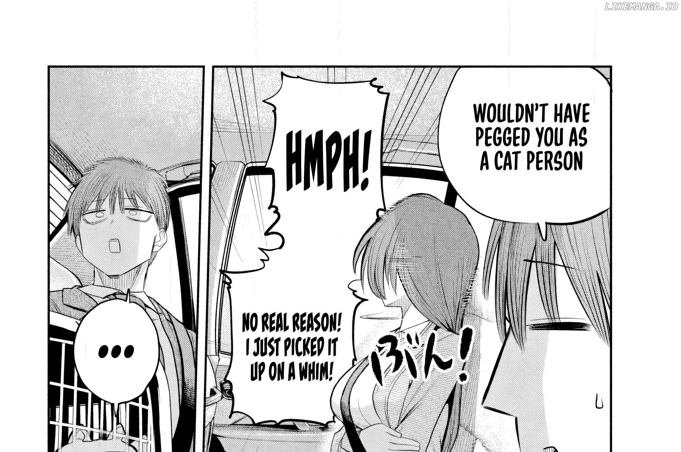 Boss, Booze, and Bright Stars