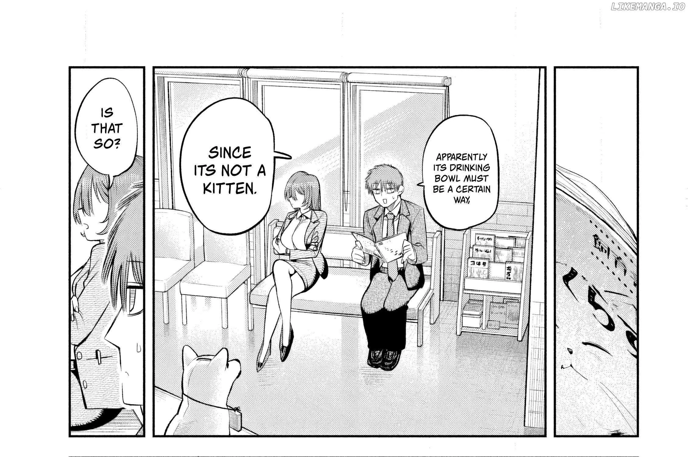 Boss, Booze, and Bright Stars