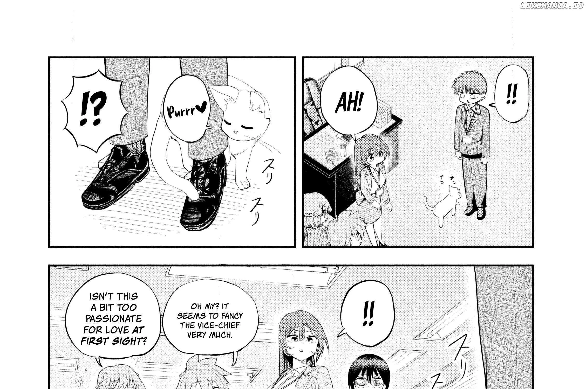 Boss, Booze, and Bright Stars