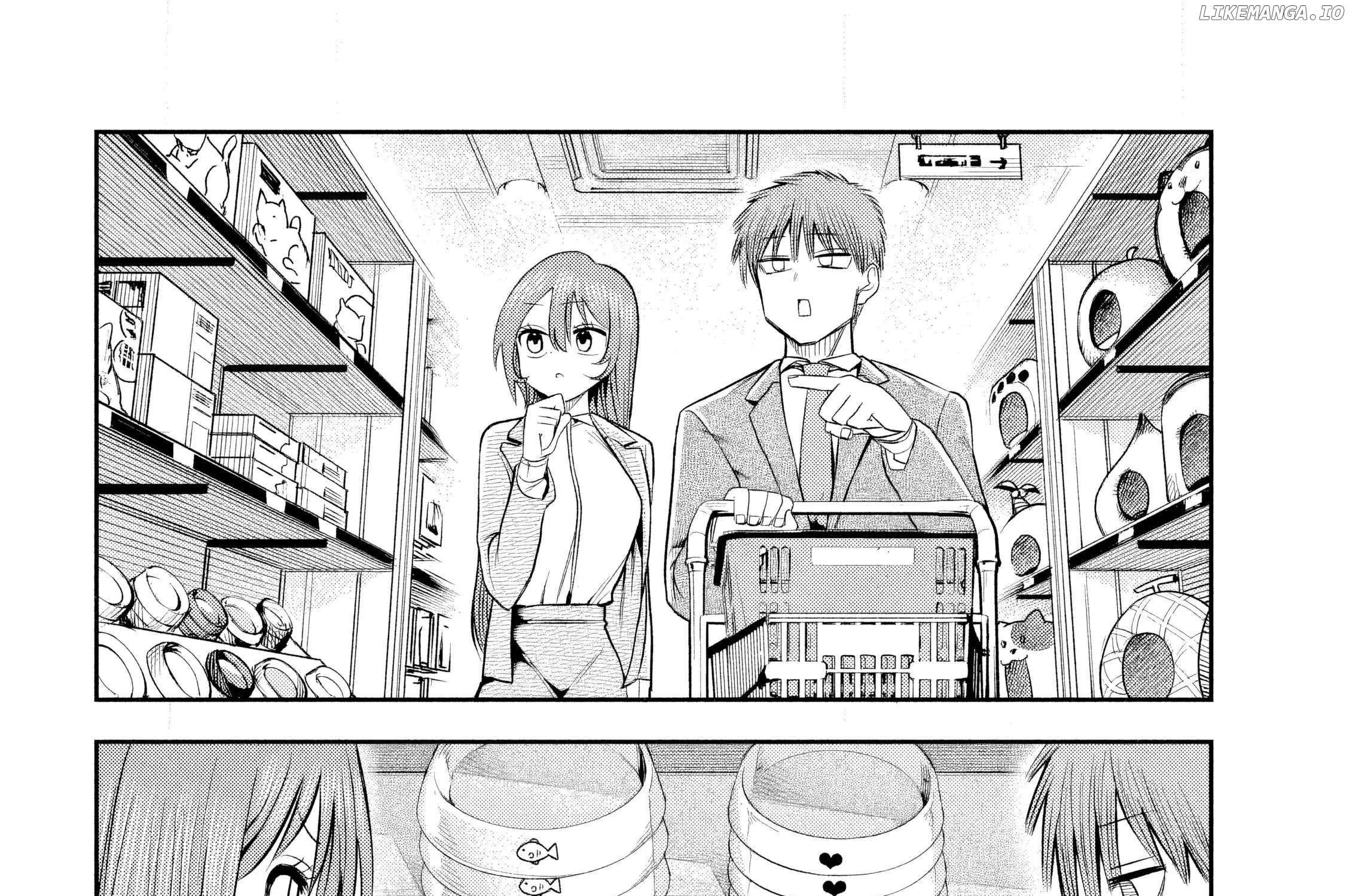 Boss, Booze, and Bright Stars