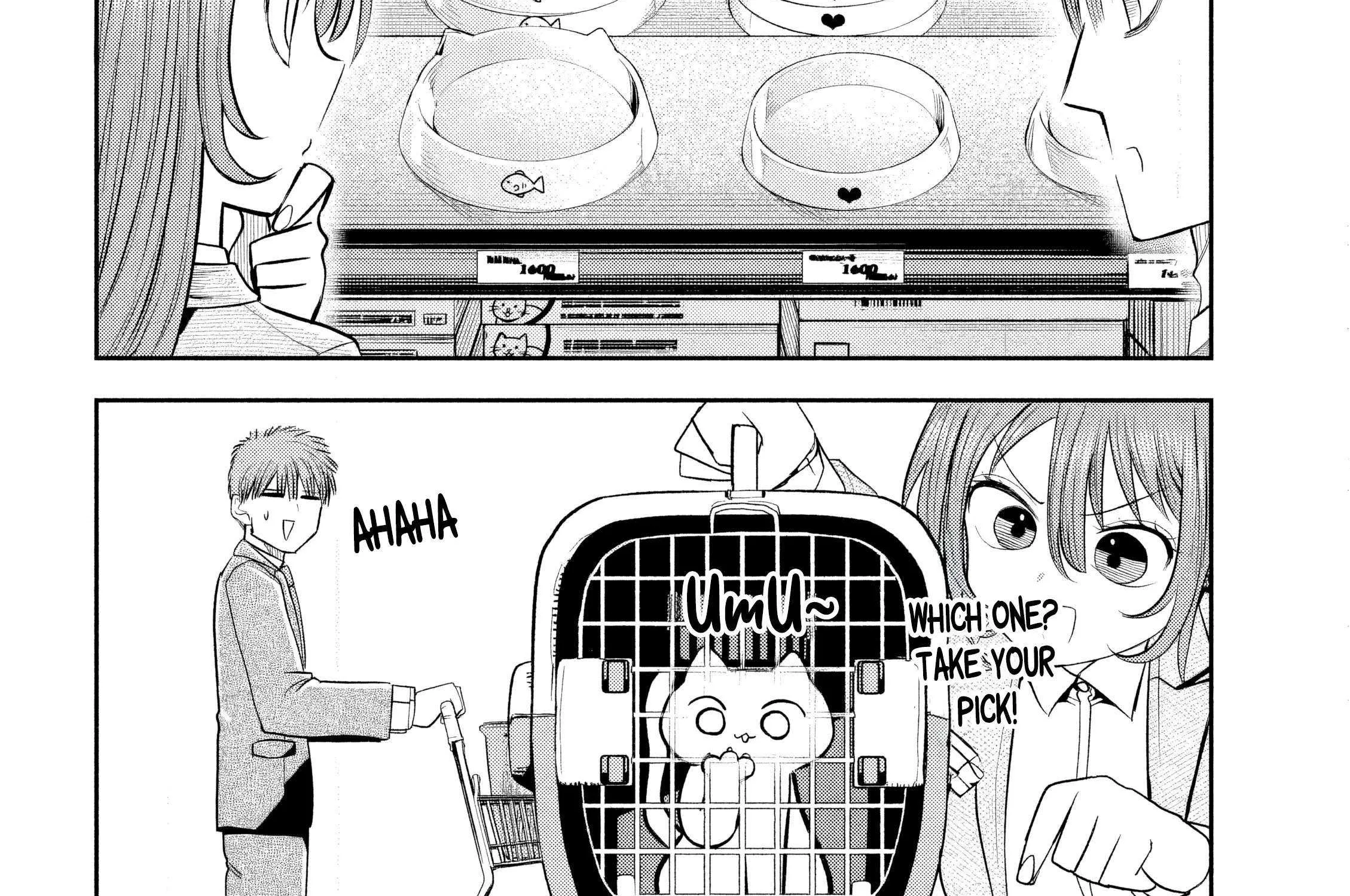 Boss, Booze, and Bright Stars