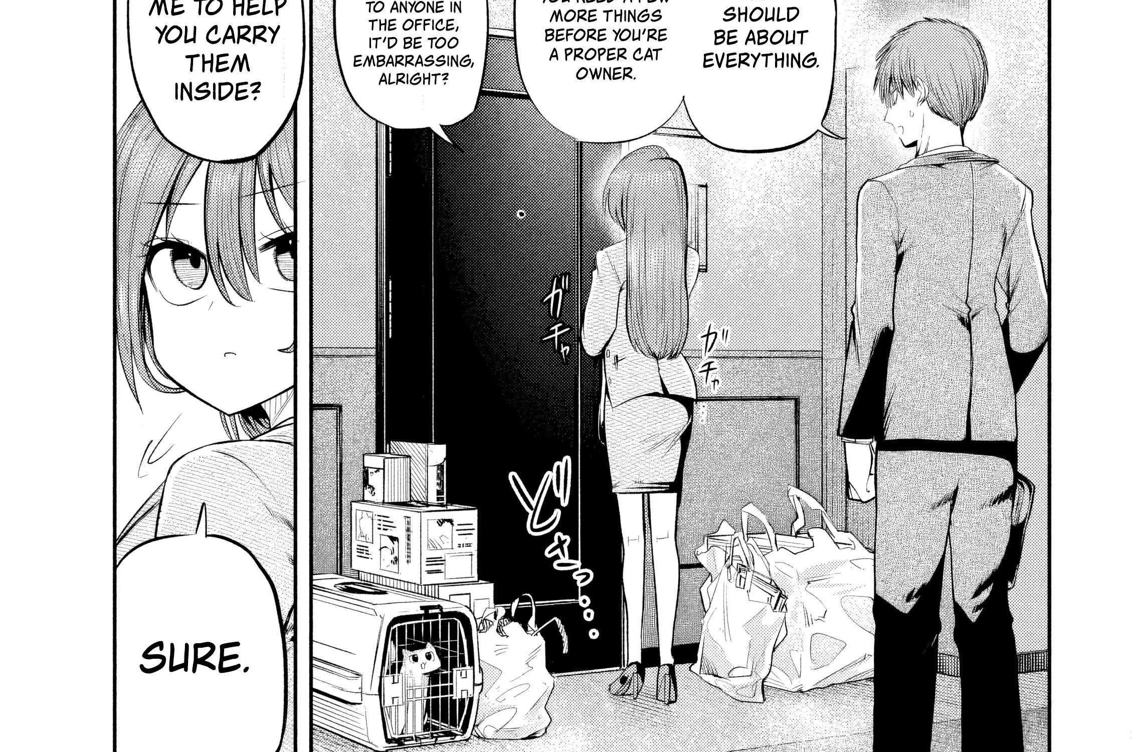 Boss, Booze, and Bright Stars