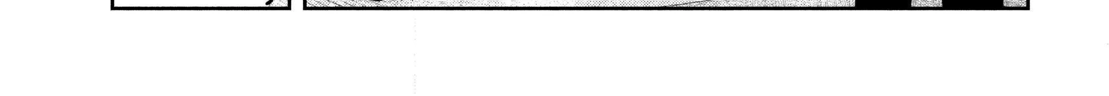 Boss, Booze, and Bright Stars