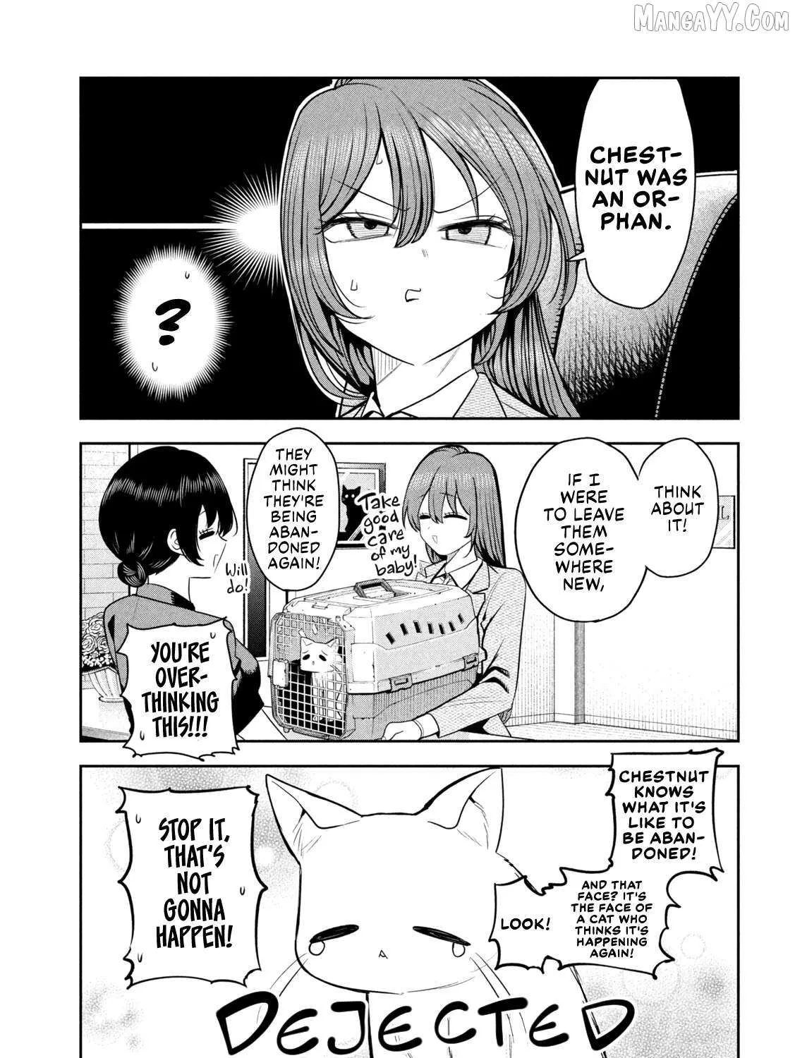 Boss, Booze, and Bright Stars