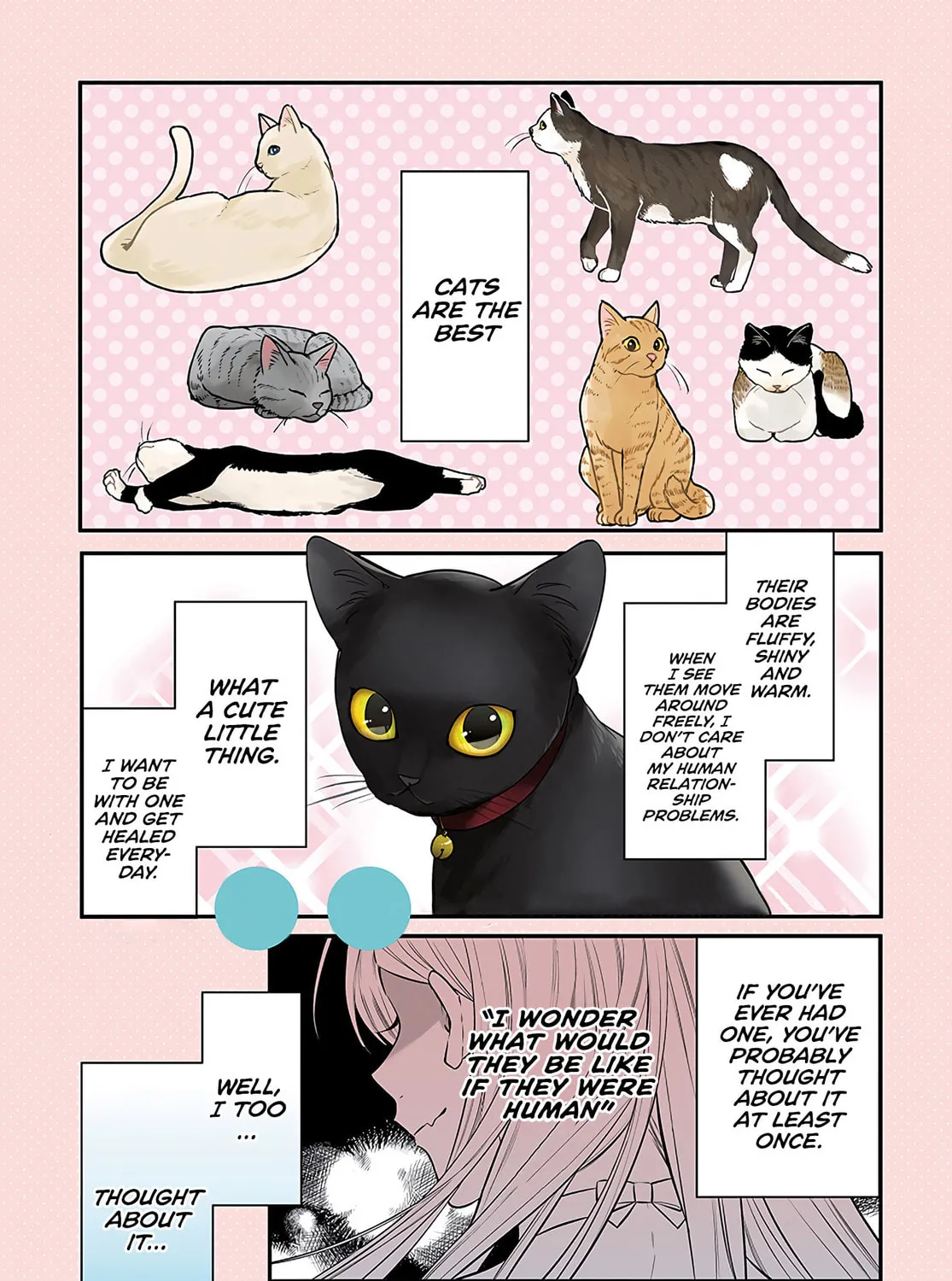 Mii-chan Wants to be Kept