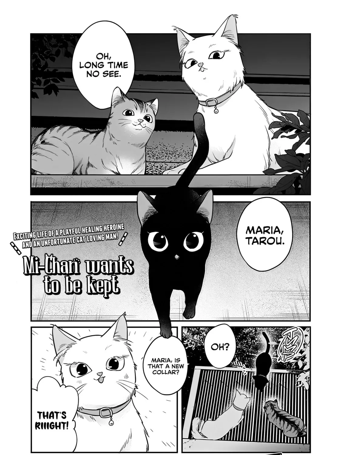 Mii-chan Wants to be Kept