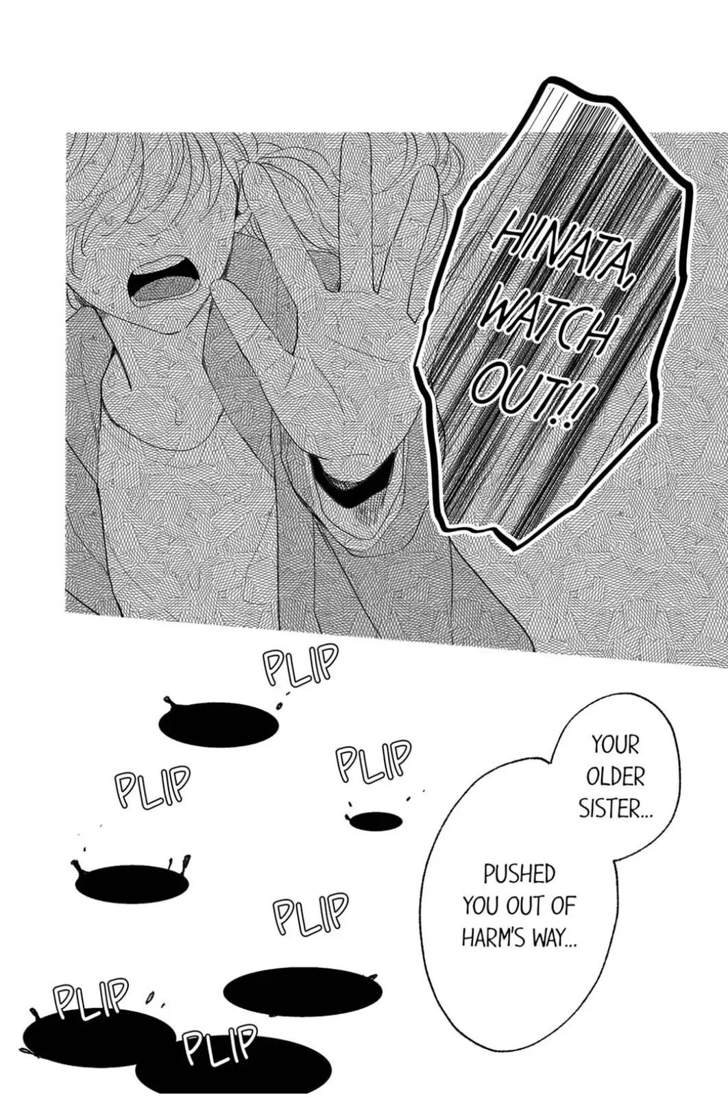 The Love of Shadow Hinata