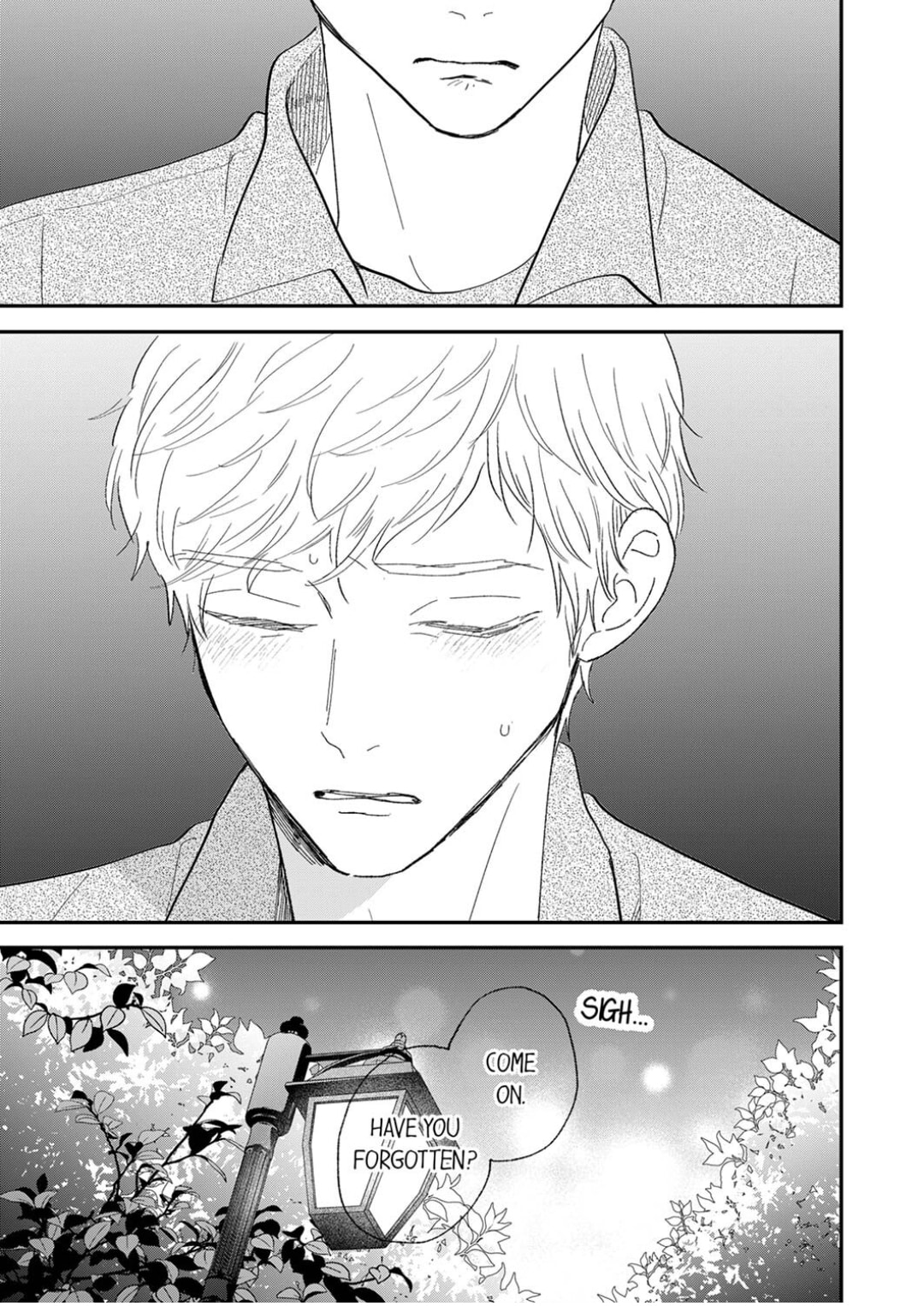 The Love of Shadow Hinata