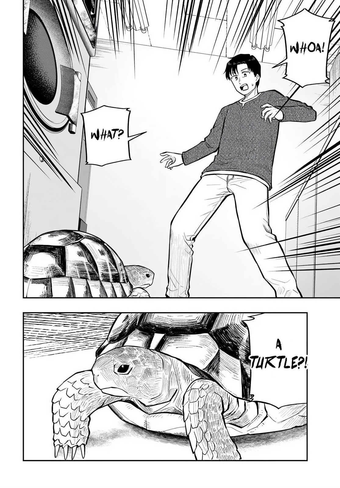 See You at the Laundromat Tonight