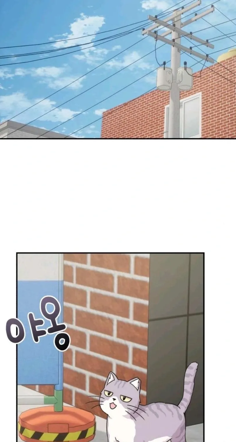 Dugeundugeun Daejakjeon