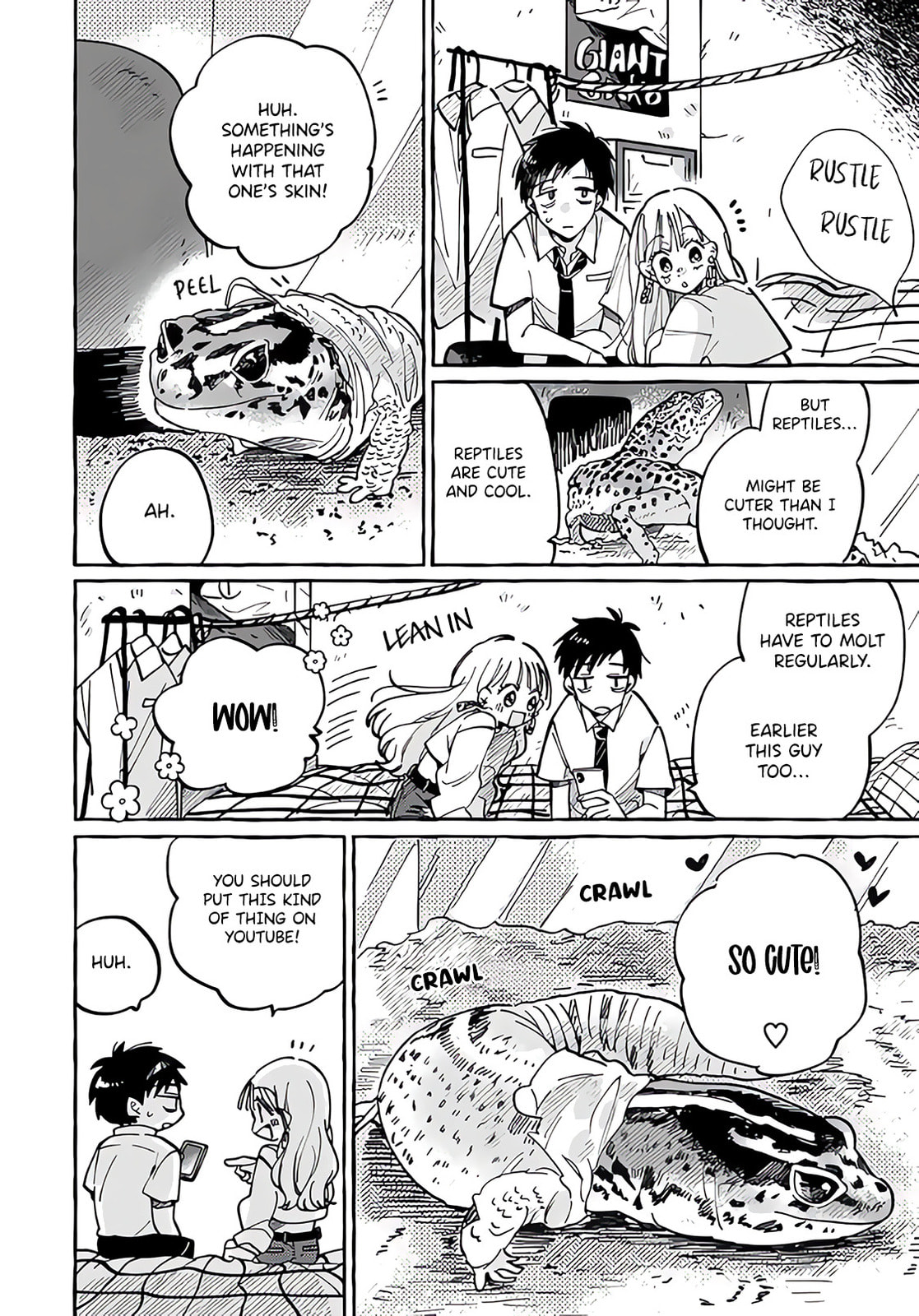 Tonari no Hachuurui-kun