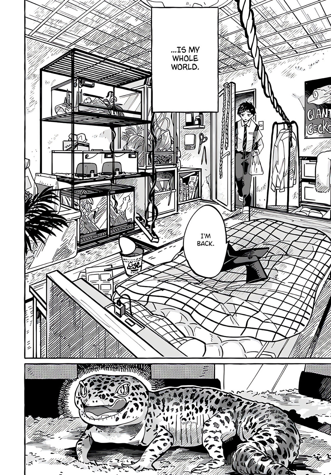 Tonari no Hachuurui-kun