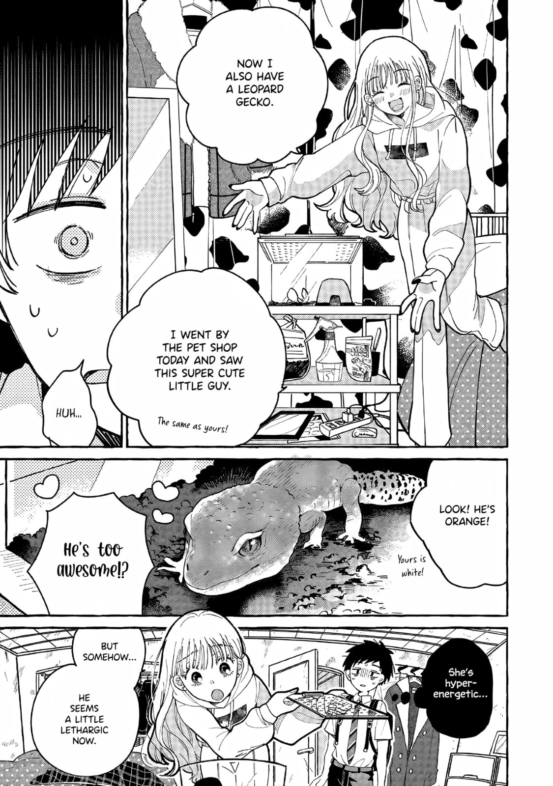 Tonari no Hachuurui-kun