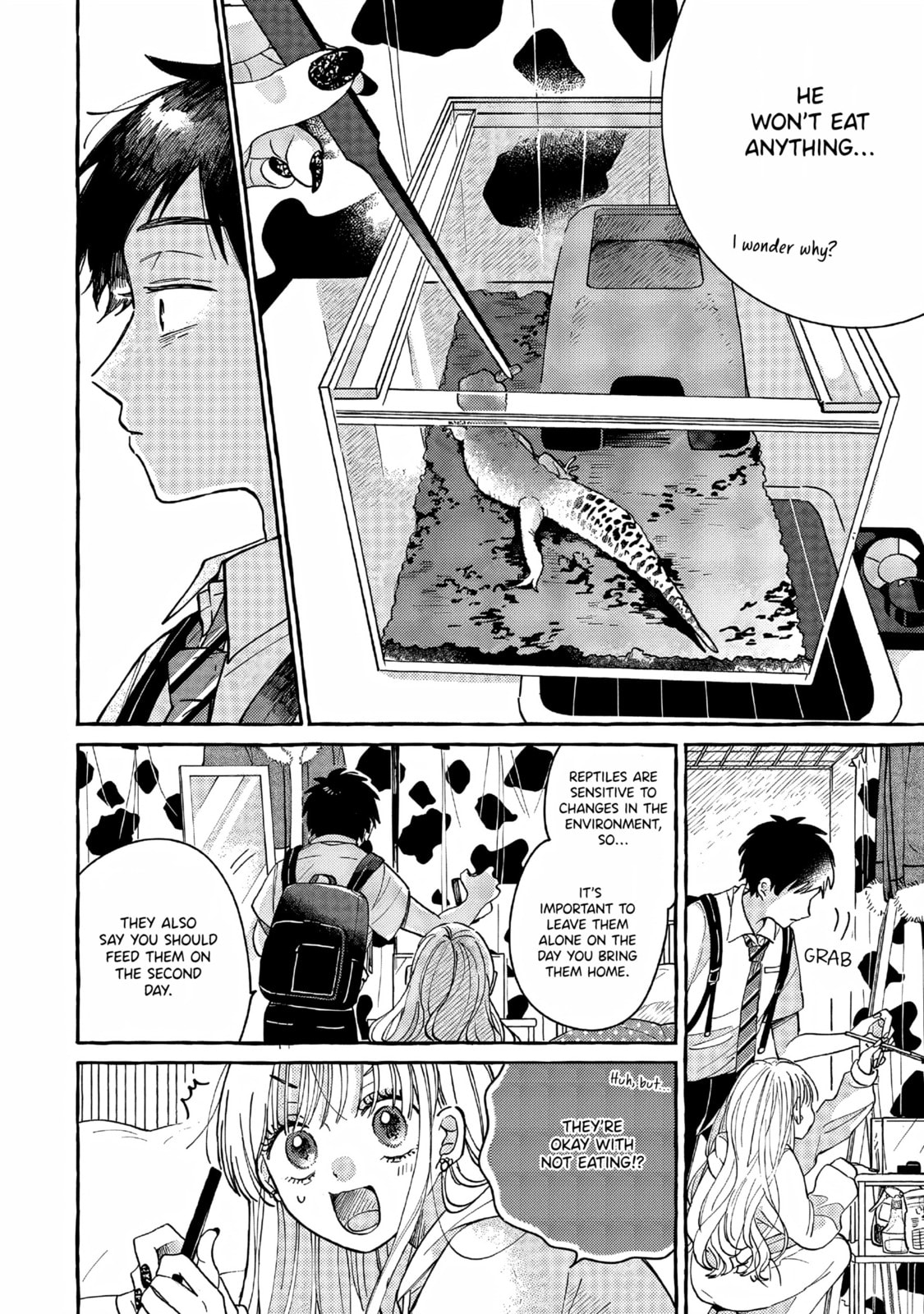 Tonari no Hachuurui-kun