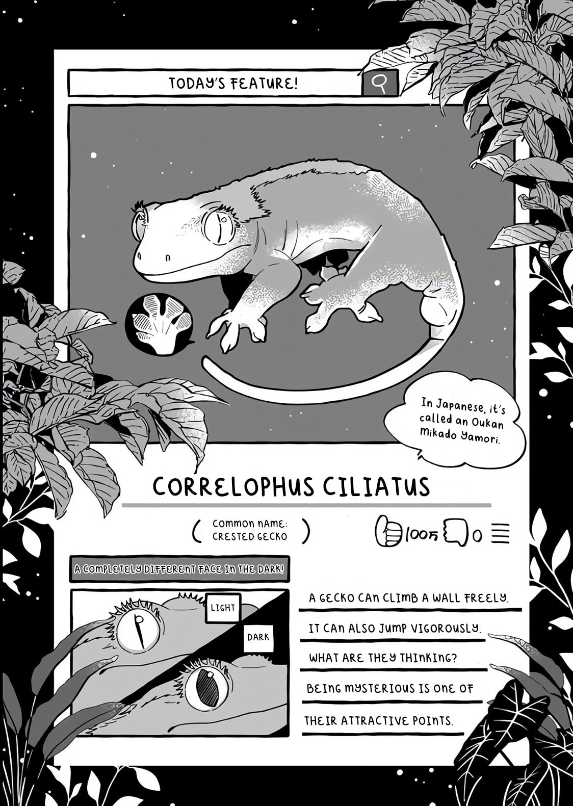 Tonari no Hachuurui-kun