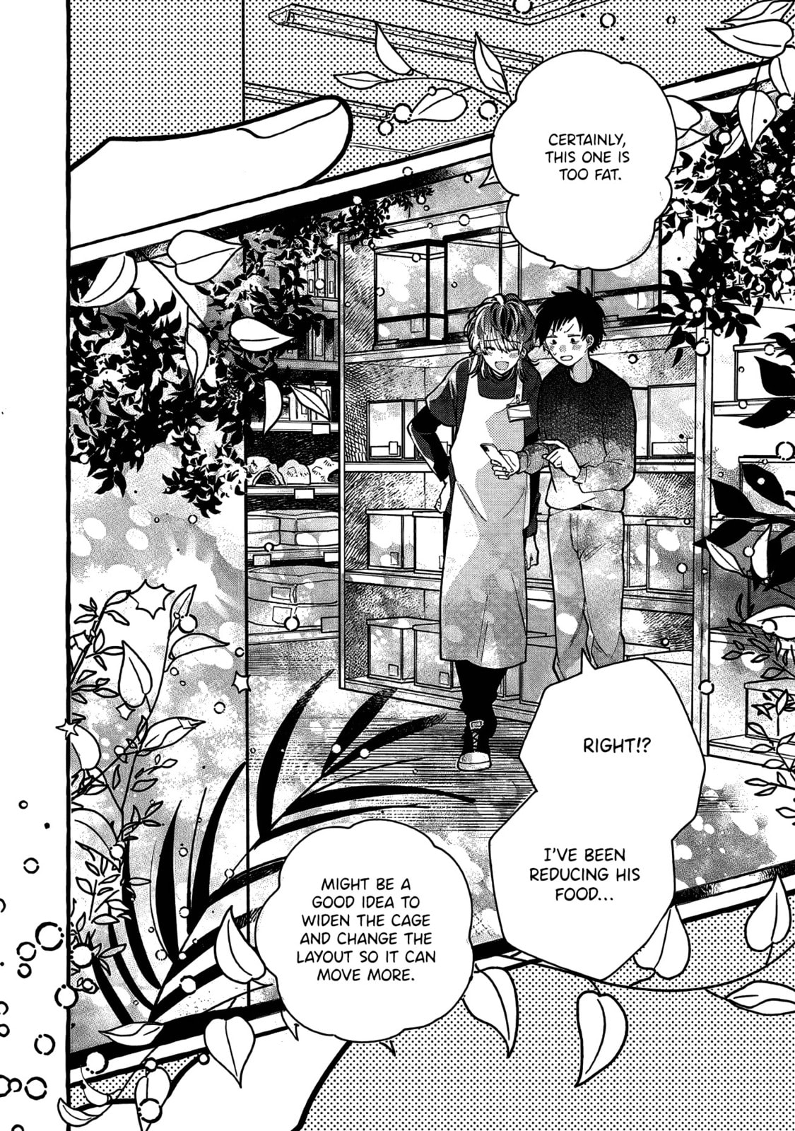 Tonari no Hachuurui-kun