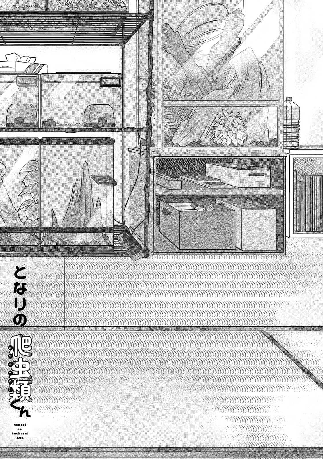 Tonari no Hachuurui-kun