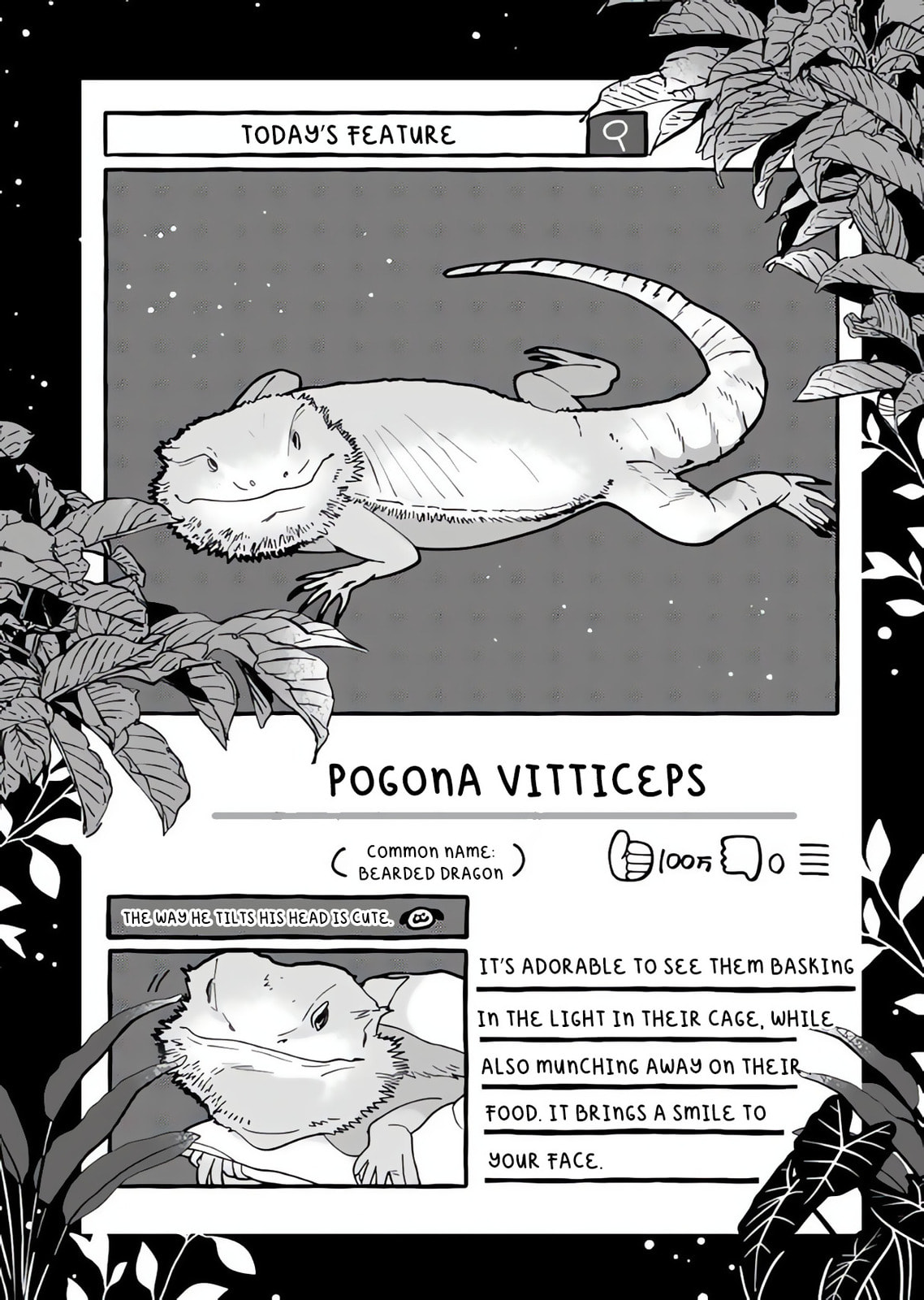 Tonari no Hachuurui-kun