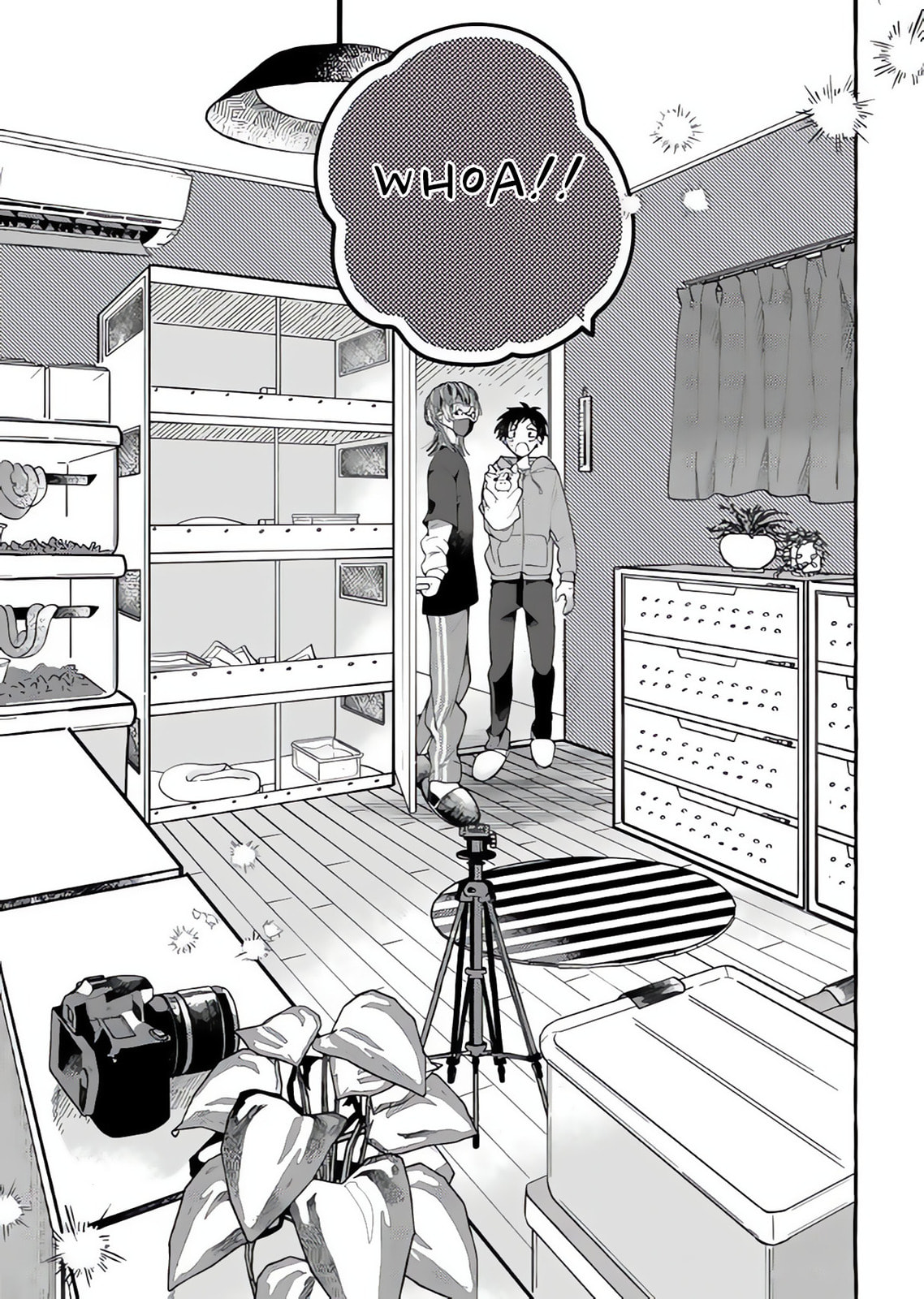 Tonari no Hachuurui-kun