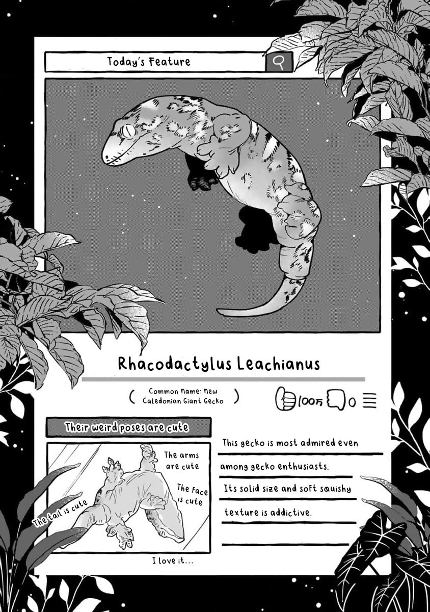 Tonari no Hachuurui-kun