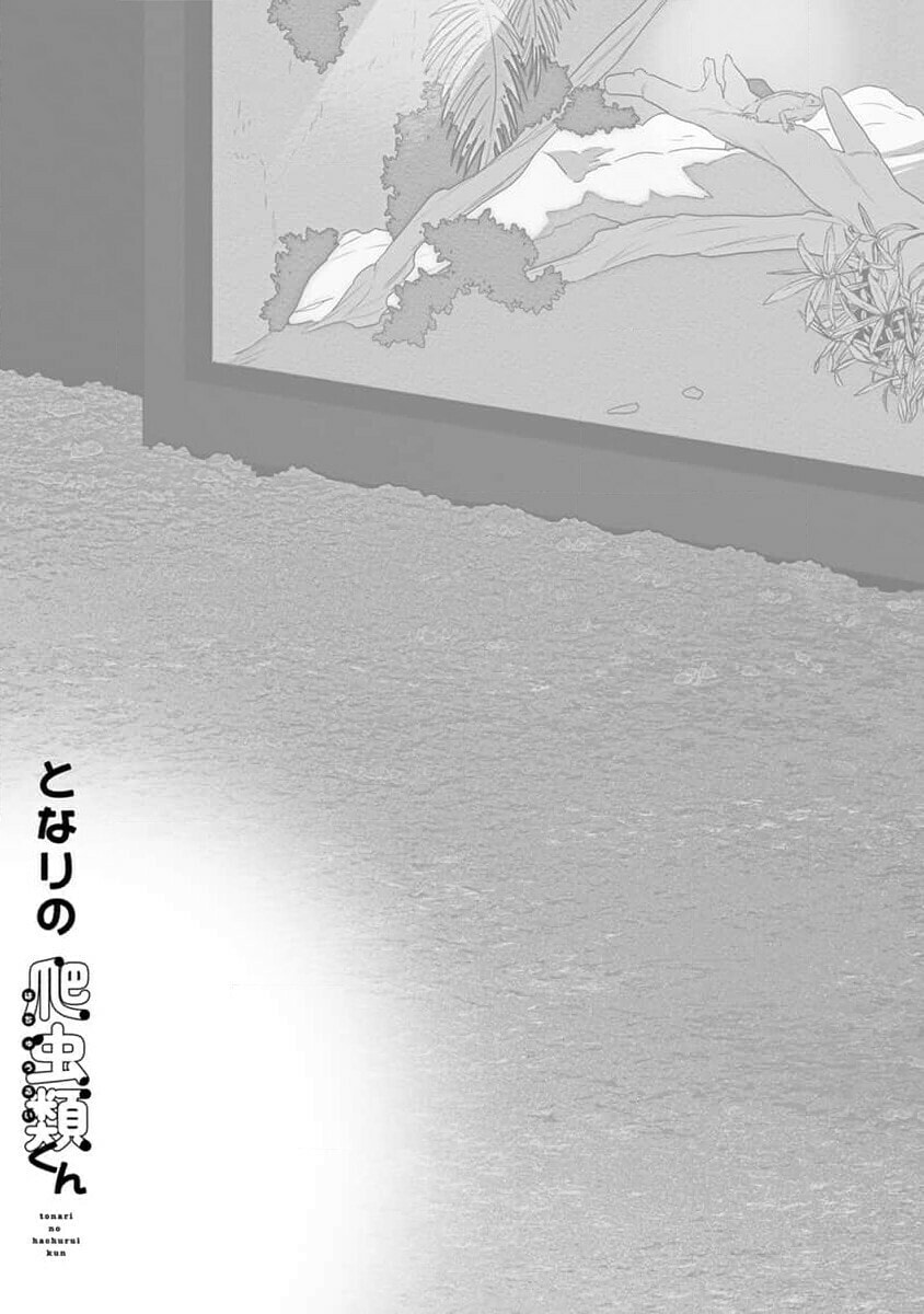 Tonari no Hachuurui-kun