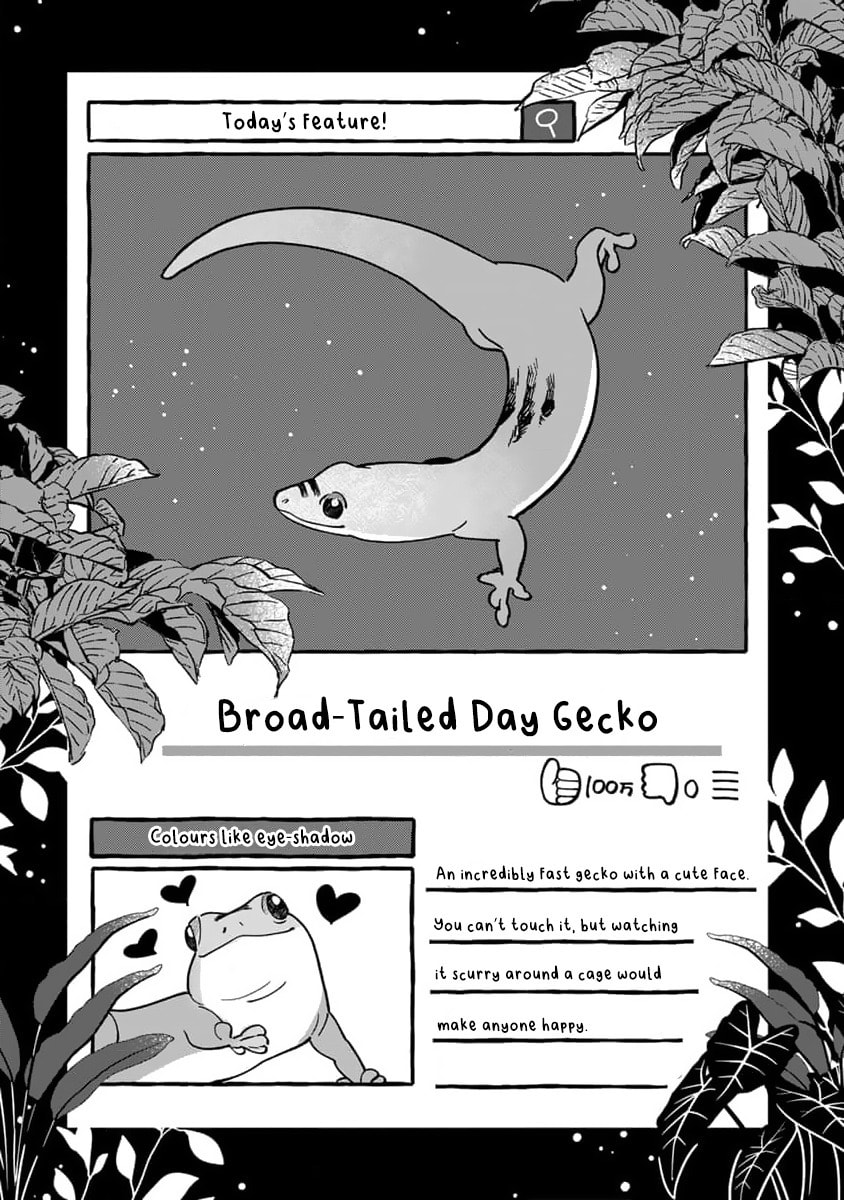 Tonari no Hachuurui-kun