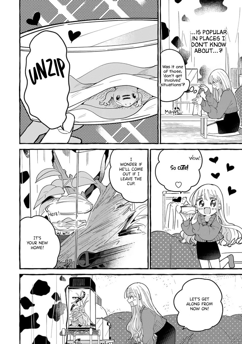 Tonari no Hachuurui-kun