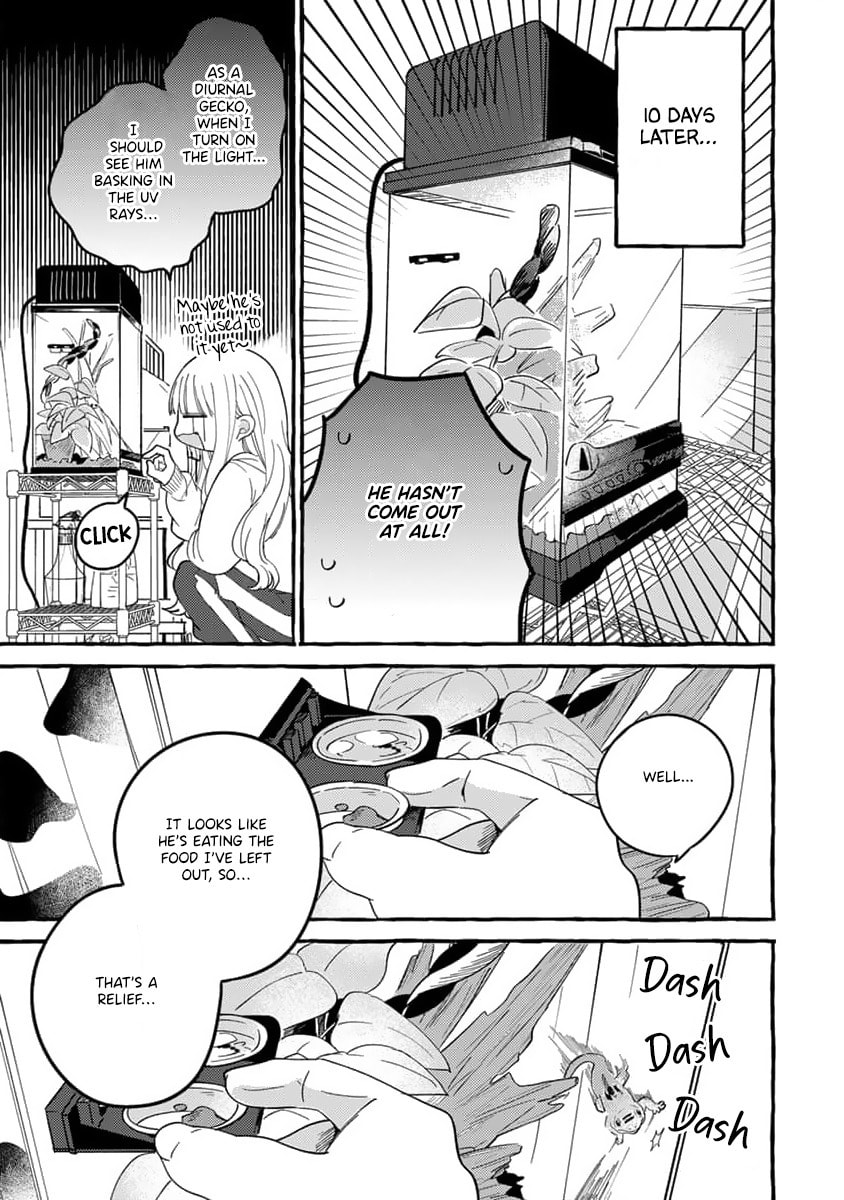 Tonari no Hachuurui-kun