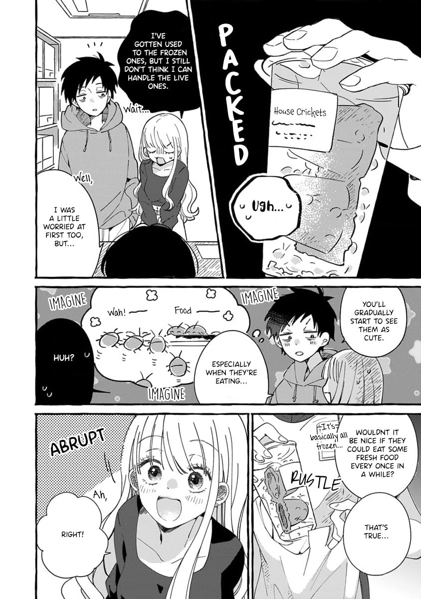 Tonari no Hachuurui-kun