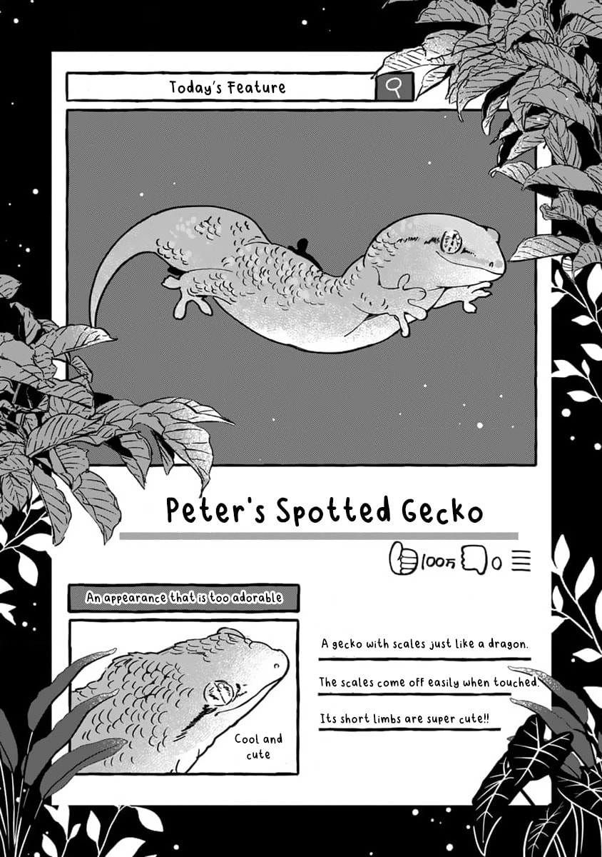 Tonari no Hachuurui-kun