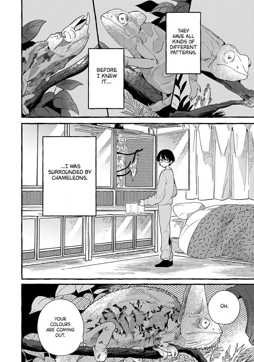 Tonari no Hachuurui-kun