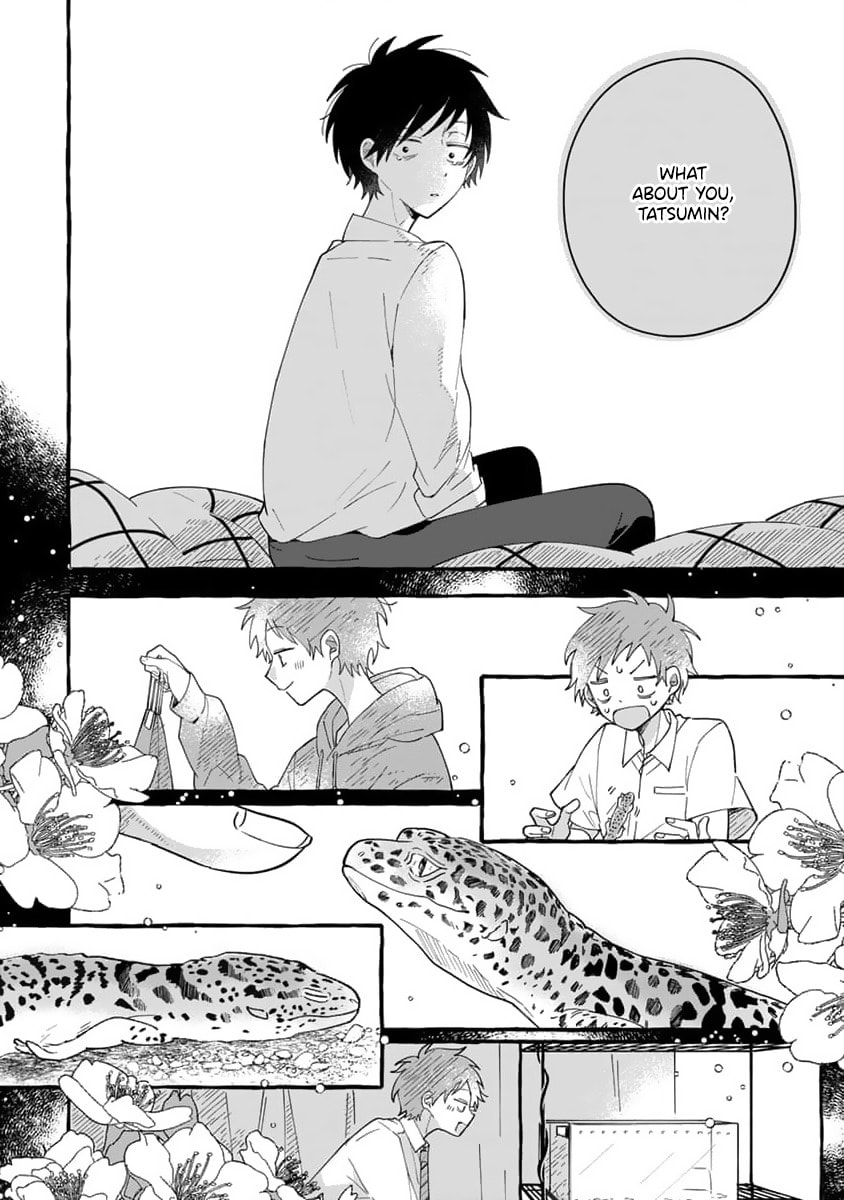 Tonari no Hachuurui-kun