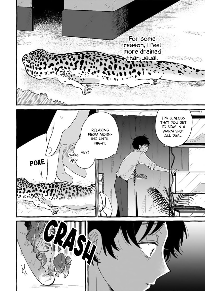 Tonari no Hachuurui-kun