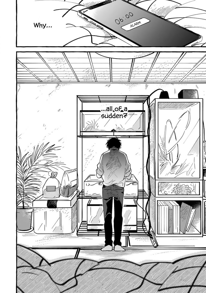 Tonari no Hachuurui-kun